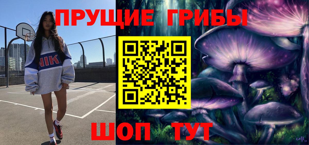 Псилоцибиновые грибы прущие грибы  Вход с VPN  Псилоцибиновые грибы мицелий  Шатура 